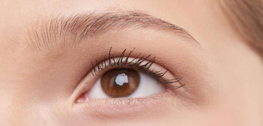 injerto de cejas